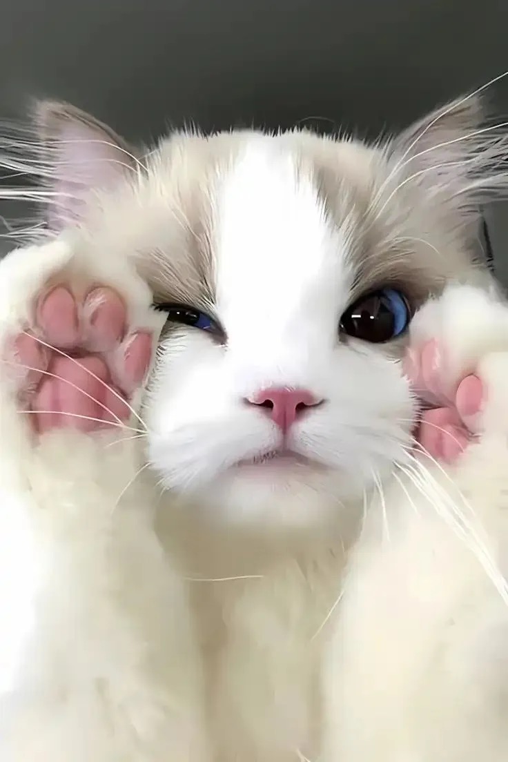 멍지